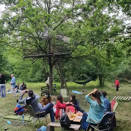 Different Belgrade Campsite