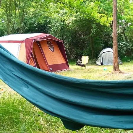 Campsite Different Belgrade Vrcin