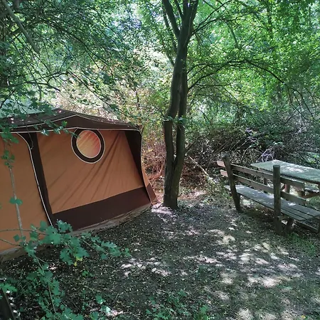 Different Belgrade Campsite Vrcin